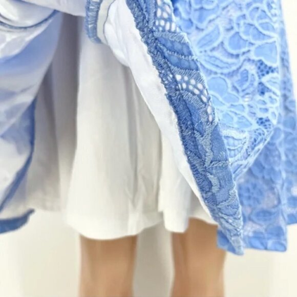 Anthropologie Hutch Blue Floral Lace V-Neck Fit & Flare Dress - Picture 7 of 10